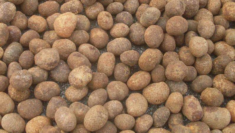 云南星月菩提产地是哪里,星月菩提哪里的产地最好