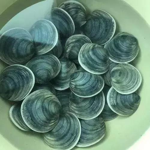 被遗忘的岛屿与世隔绝18000年,被遗忘的海岛完整