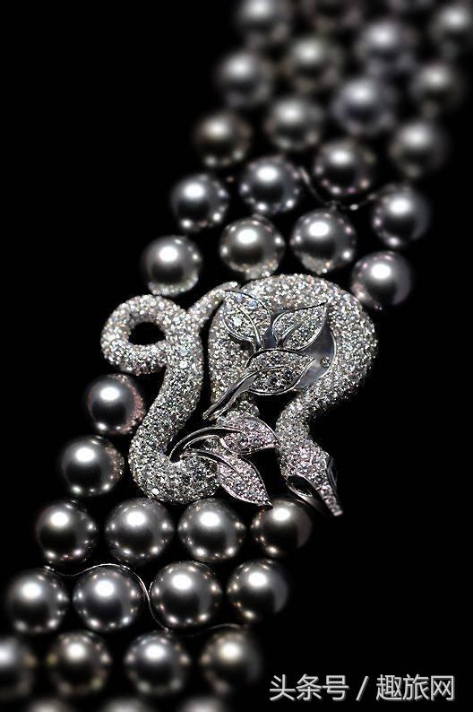 高更最后的大溪地,高更经历