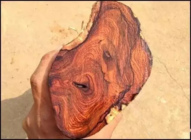 黄花梨怎么鉴定真假图解,海南黄花梨的鉴定方法和真假对比