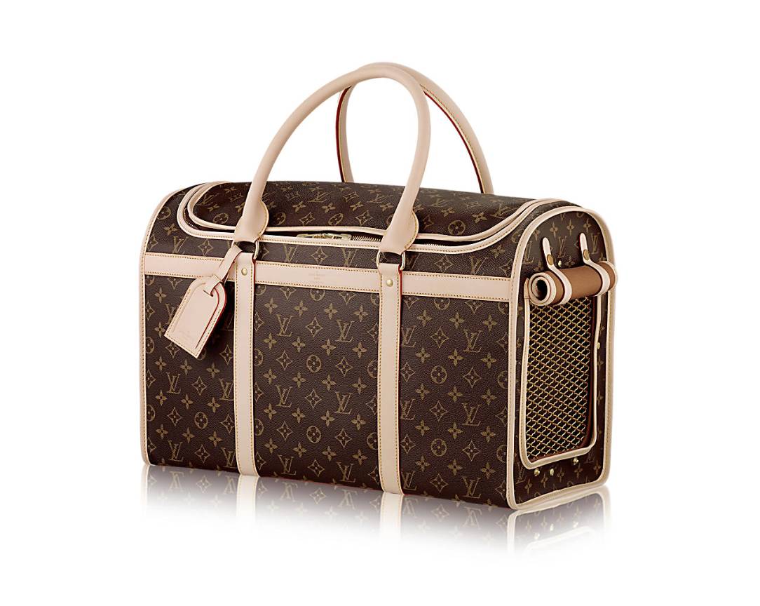 精致猫咪必备品有哪些种类,这几种猫咪养得起的都是土豪