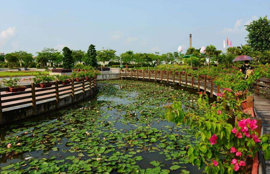 广州长隆万圣节游玩攻略,2021年广州长隆万圣节游玩攻略