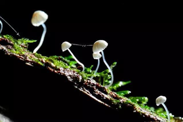 一个90后摄影师,一个90后的摄影师