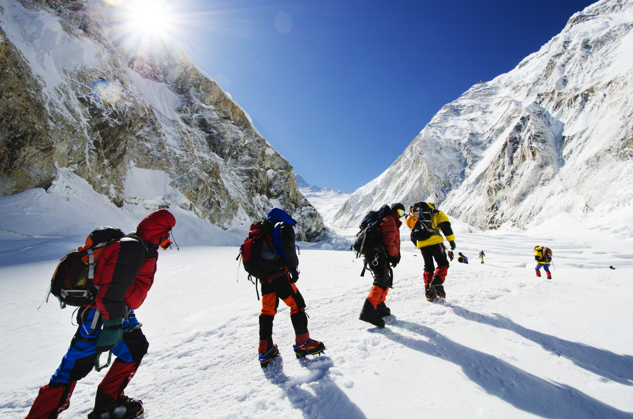 驴妈妈创始人洪清华宿松哪里人,驴妈妈洪清华完整版