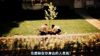 经典纯爱《怦然心动》：还记得你的青梅竹马吗？