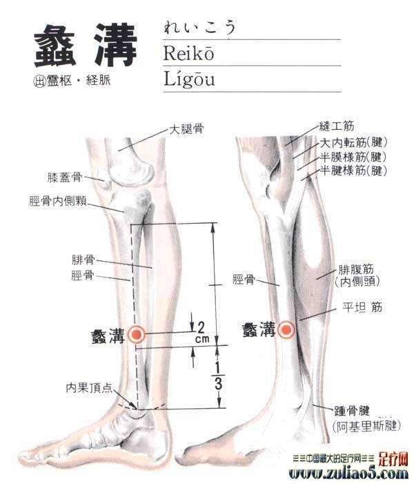 打通全身淤堵的穴位,十大重要穴位收藏
