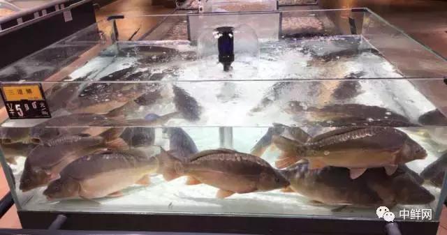 超市水产经营技巧,超市里的水产