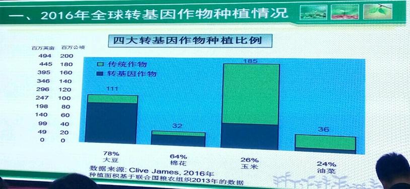 全球最新转基因农作物,全球四大转基因作物包括