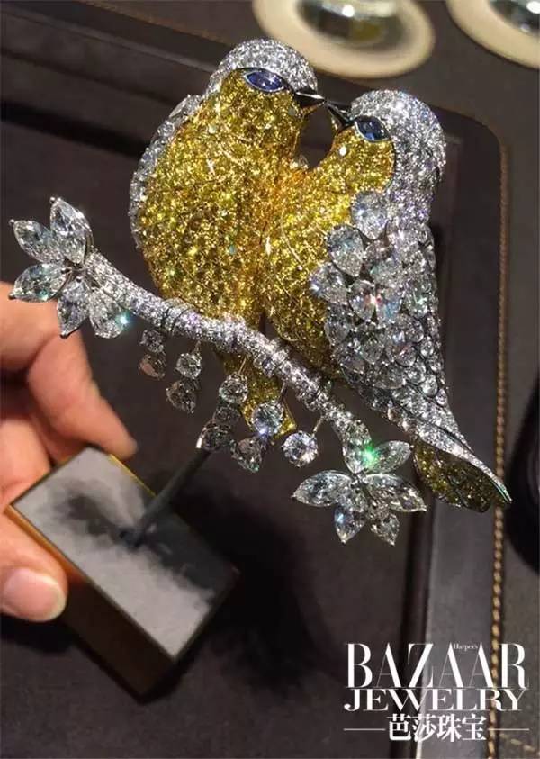 时尚新宠到底有哪些魅力,时尚界的新宠是谁