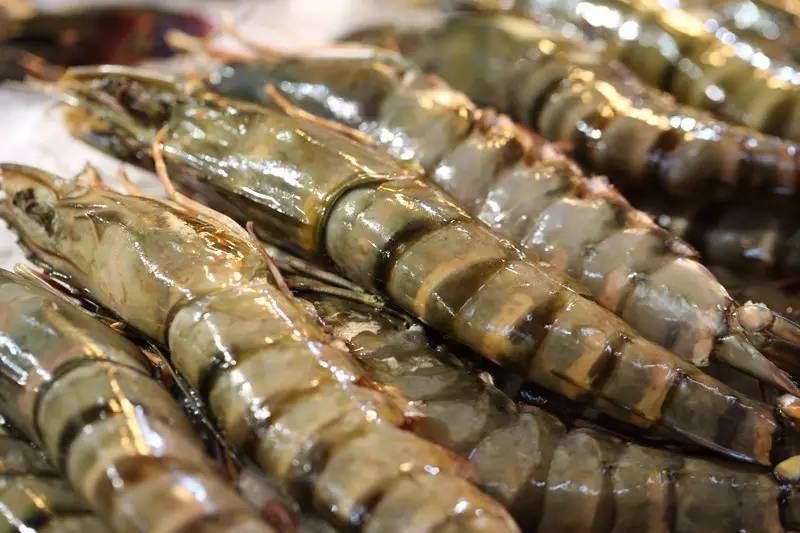 这里可能是唯一能够满足你吃到巨无霸海鲜和偶遇Runningman的地方了！