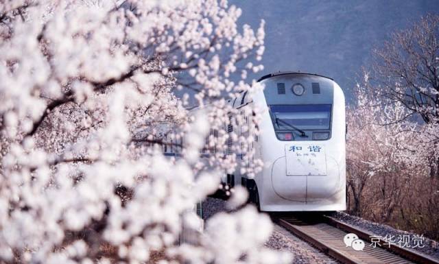 开往春天的列车图片唯美,开往春天的列车看图作文