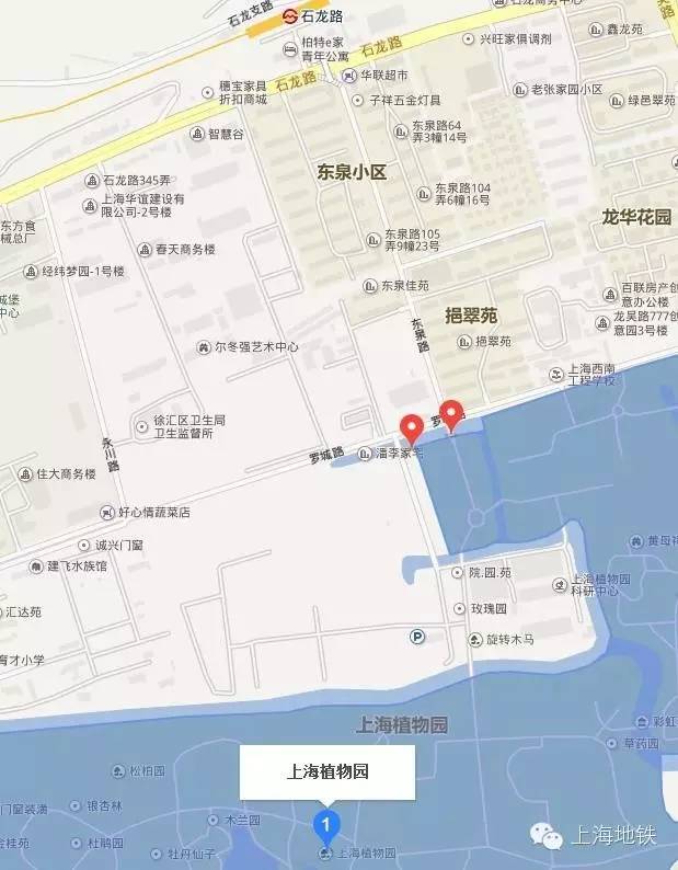 看樱花不用远赴日本,看樱花不用去武汉关庙也可以看