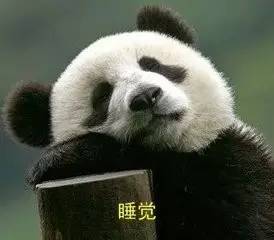 世界睡眠日医生说要这样睡,世界睡眠日睡不着睡不醒都要警惕