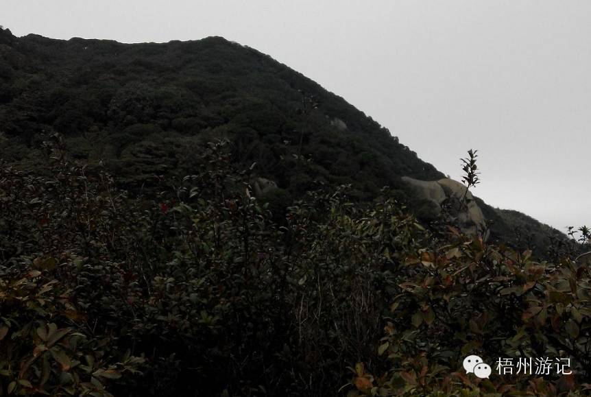 肇庆七星岩洞穴探险,广东肇庆七星岩自驾游攻略