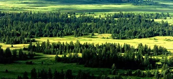 假期出游的风景,假期里遇见一个美丽的风景