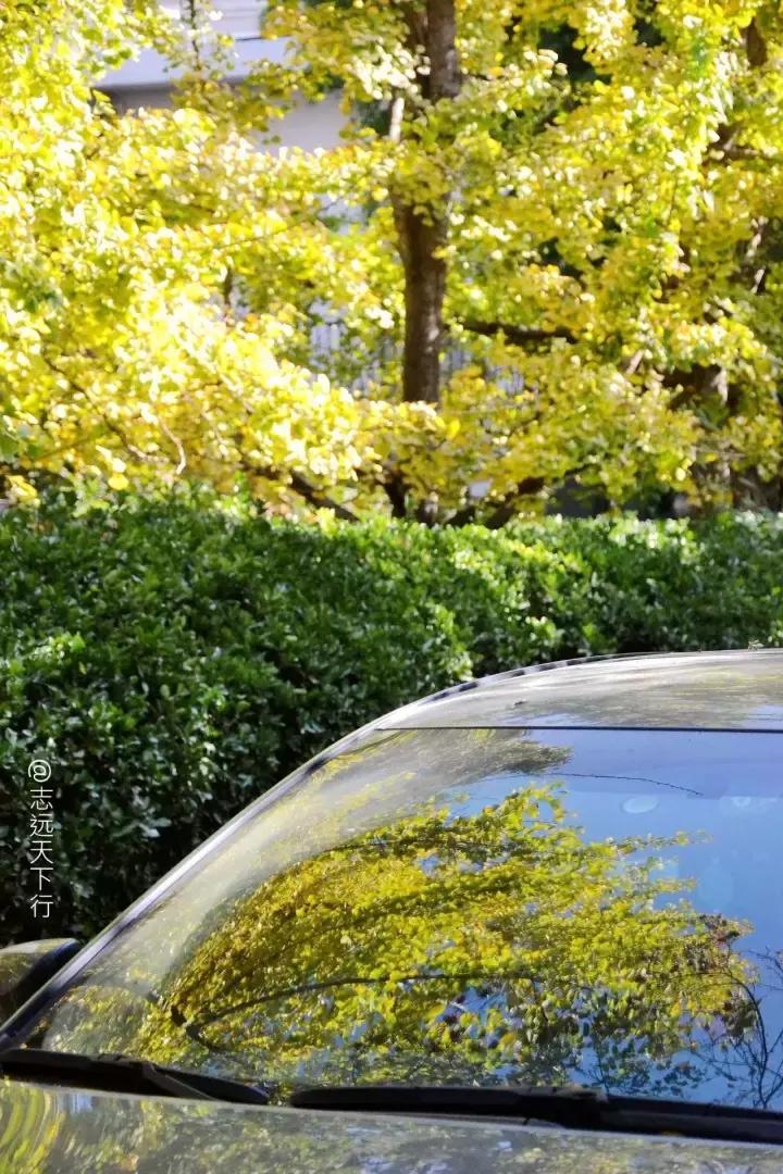 最美高校合集,最美211云大