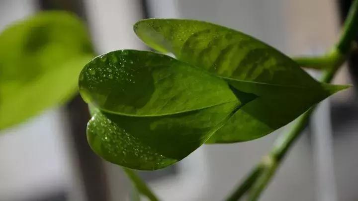 灏忚娣辨按婀剧殑宸ㄨ煉,灏忚娣辨按鎯婇瓊