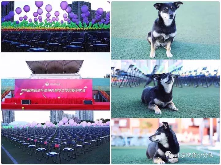 首经贸最大的食堂是什么,首都经贸大学第一食堂