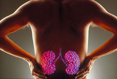 肾虚在什么季节补肾最好,肾精亏虚补肾在什么季节最好