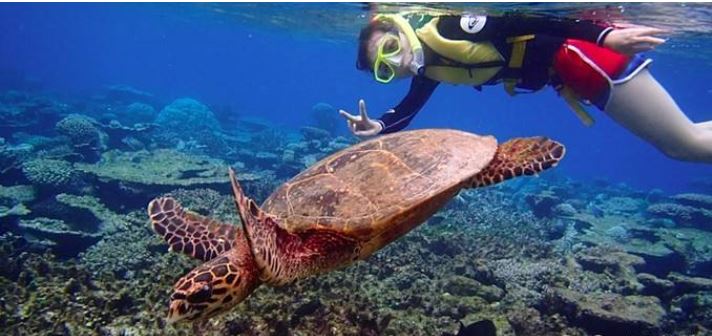 马尔代夫鲁滨逊岛美景,海岛旅游胜地马尔代夫岛