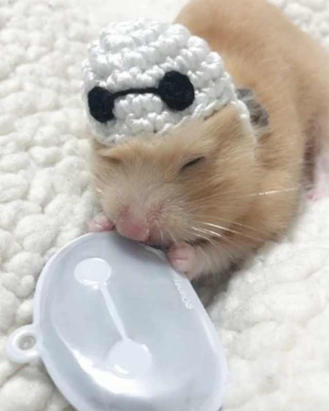 浠撻紶鍙埍钀屽寲,鍙埍鐨勫皬浠撻紶cosplay