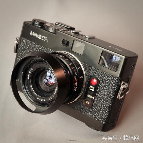 蜂辞典最新视频,蜂辞典摄影效果