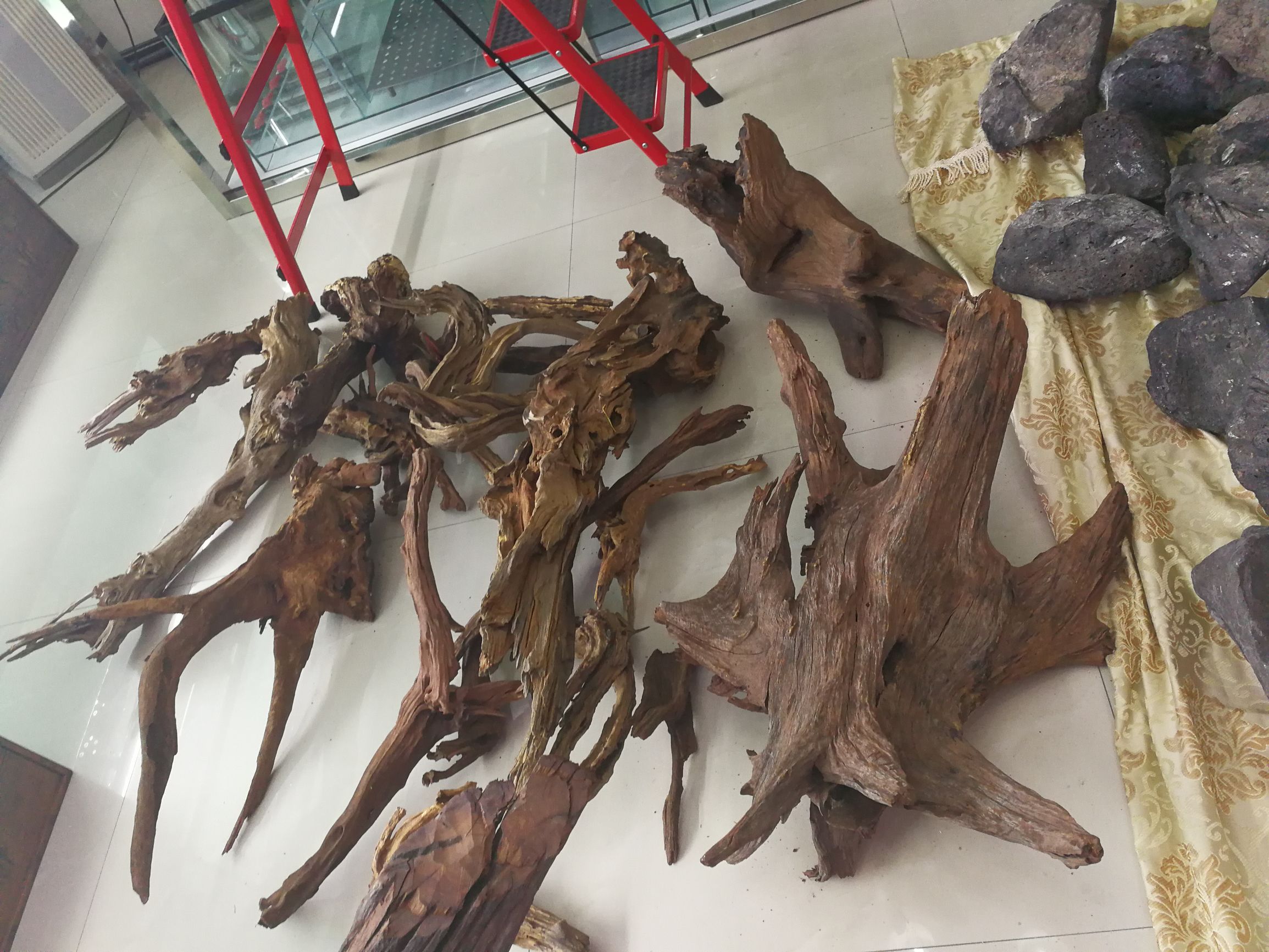 水草缸可以养龙鱼吗,震撼草缸