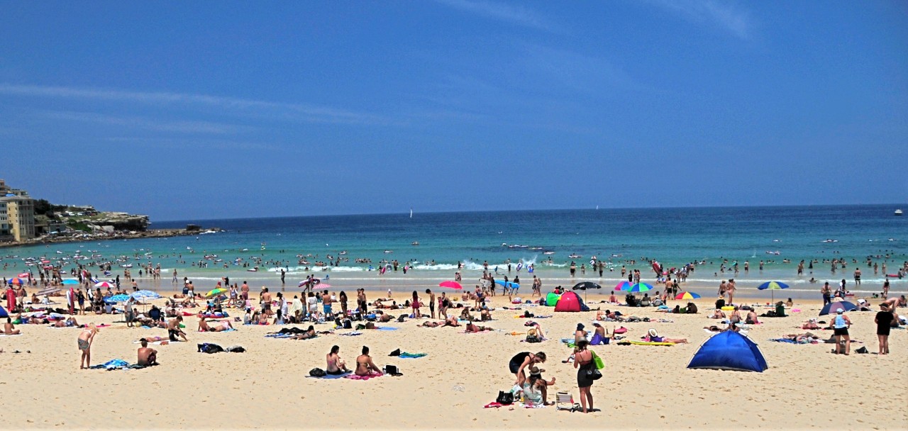 悉尼旅游攻略必备,悉尼旅游攻略一天带你玩遍悉尼