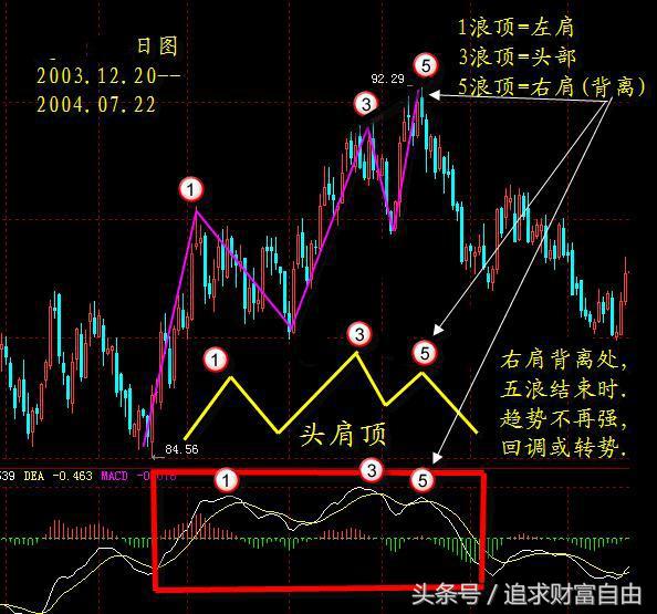 股市中的指标之王,股市之王股票分析