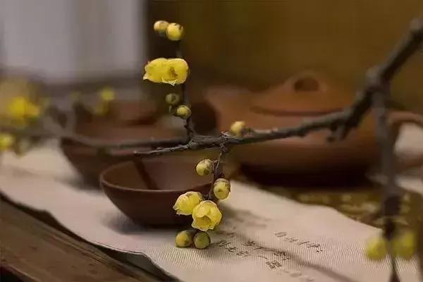 尚佐文,尚佐文演讲视频