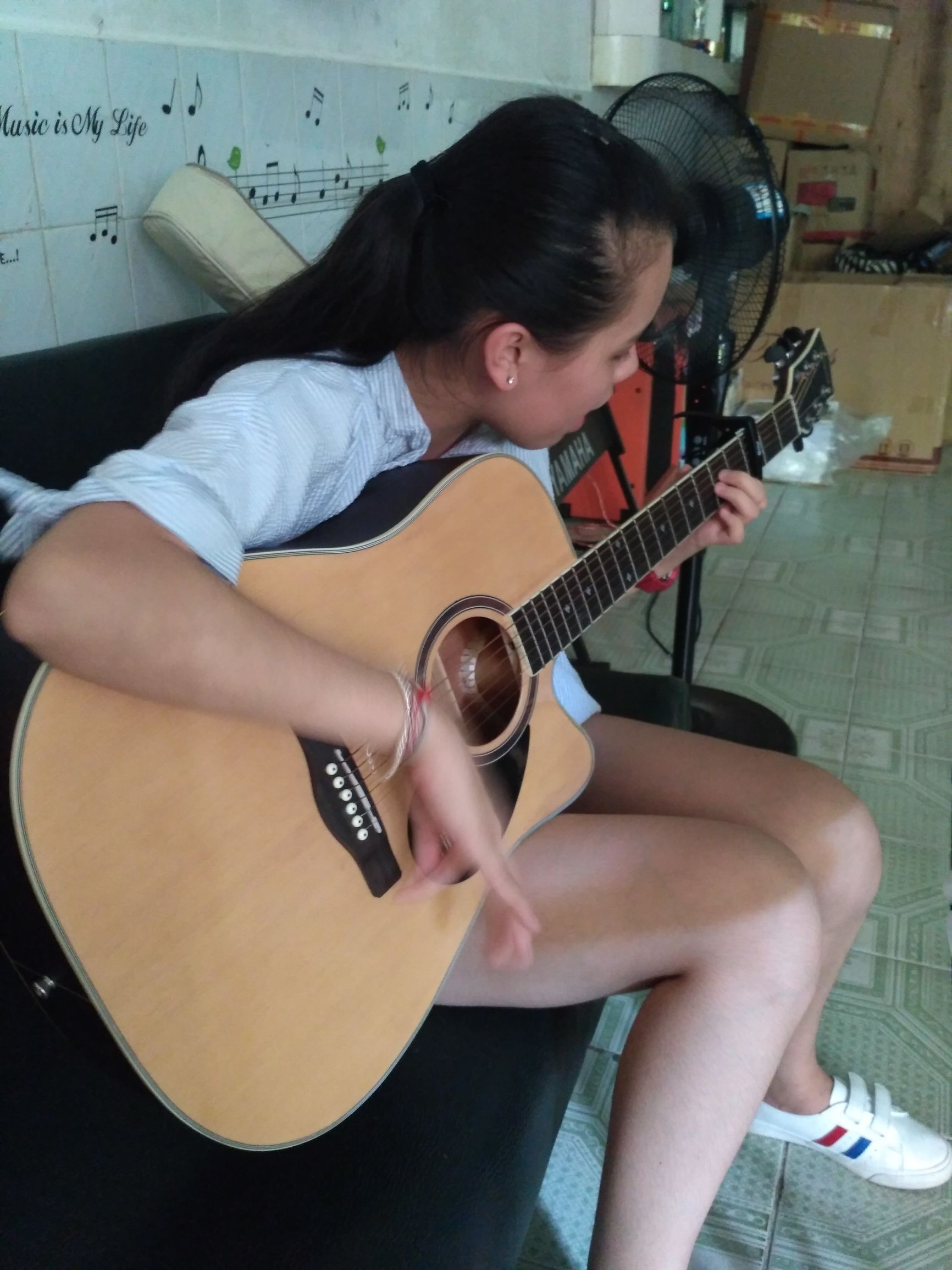 新手入门的合板吉他哪种最好,吉他单木好还是合板好