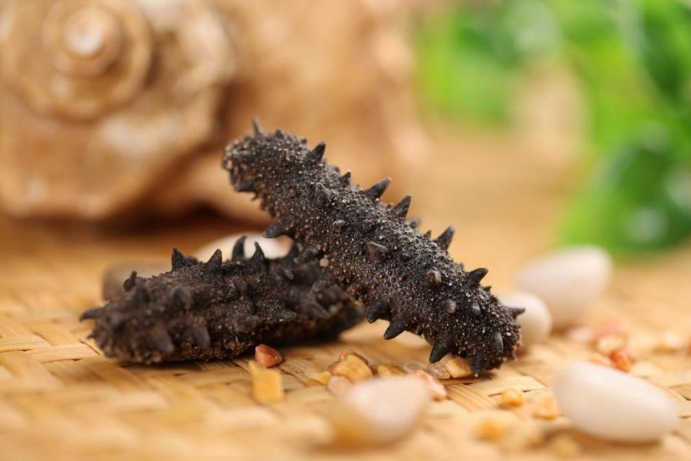 海参的做法怎么吃最营养,海参怎么吃最有营养补肾