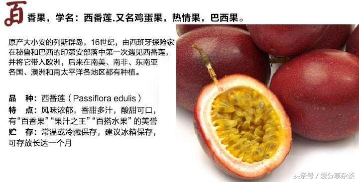 纯天然降压、*眠药安**！阳台都能种，四季收获