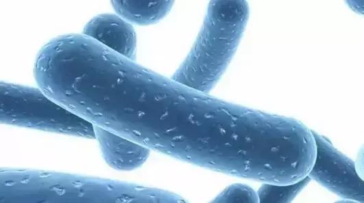 奶粉中的七大营养素是什么,奶粉中促进骨骼视力的营养素