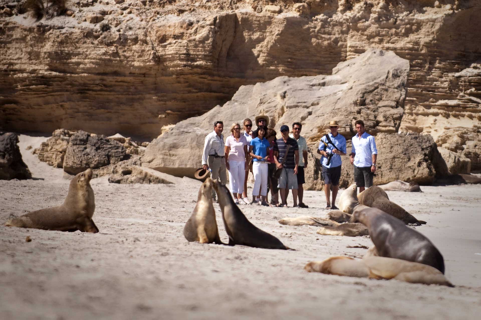 澳洲版终极吃货考验:把袋鼠、蜥蜴和鸸鹋当“路边餐”