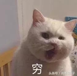 还在为双11购物发愁？AB张天爱沈梦辰用的这些彩妆，一百块都不到