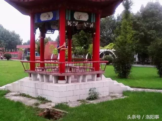 洛阳最有魅力的高中,洛阳市最牛逼的高等专科学校