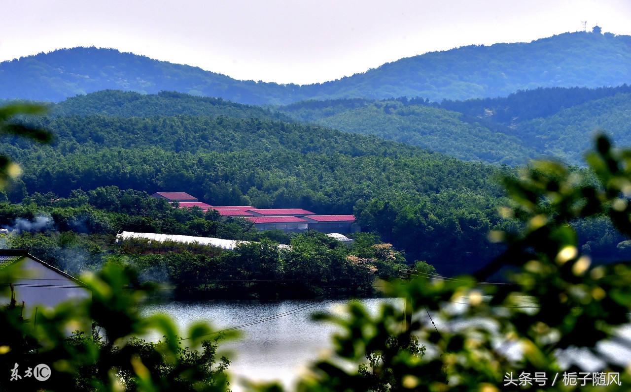 皖s代表安徽哪个城市,安徽各城市位置图