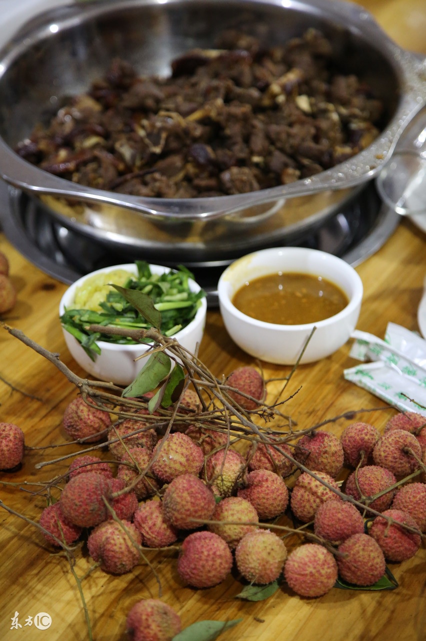 有多少人在讨论吃狗肉的问题,为什么不建议大家吃狗肉