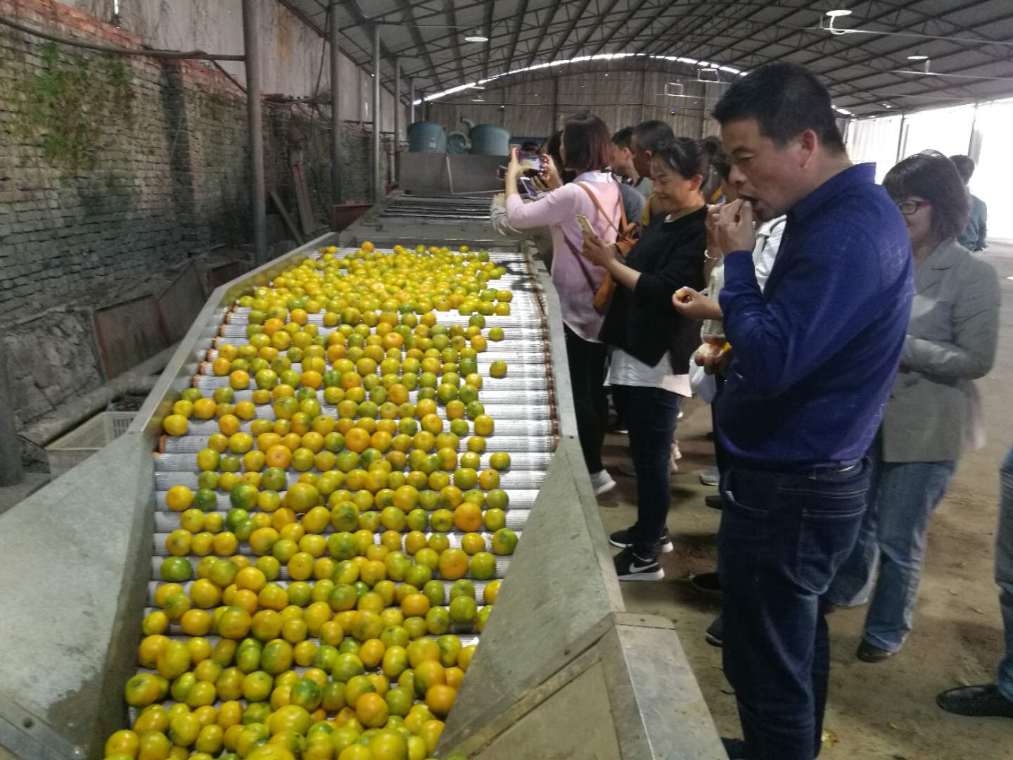 「心韵」农场主，我一生的追求！