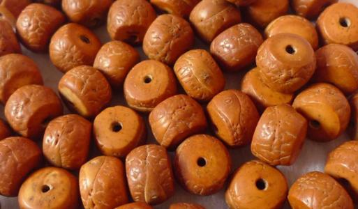 总是吆喝着买凤眼菩提，试问您真的懂？