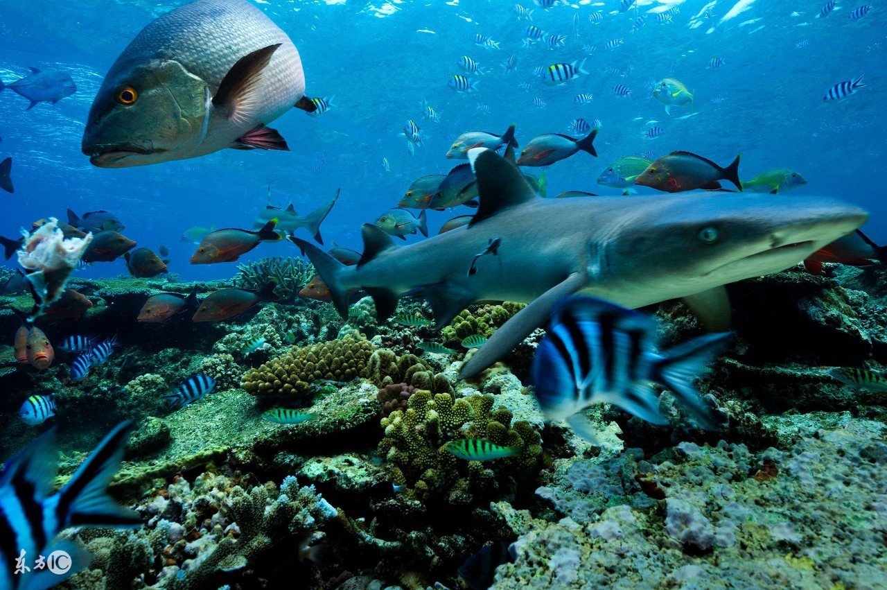 令人向往的海滩,令人向往的岛屿2015