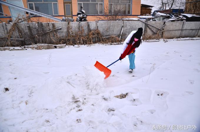 哈尔滨雾凇岛一日游,哈尔滨雪乡雾凇岛攻略