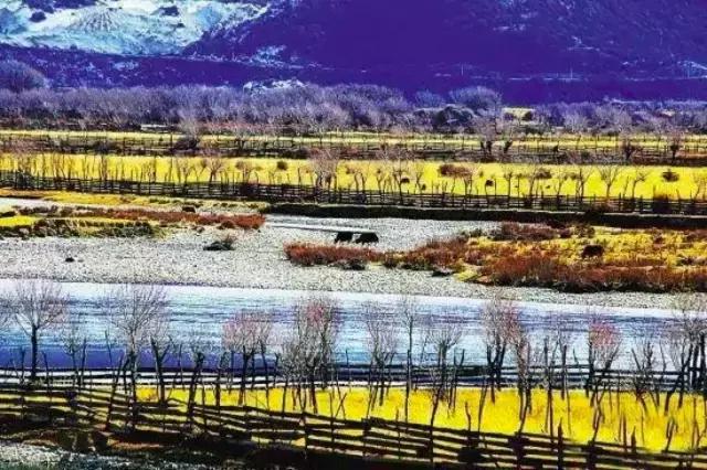 11月国内最值得去的景点,推荐七月国内最佳旅行目的地