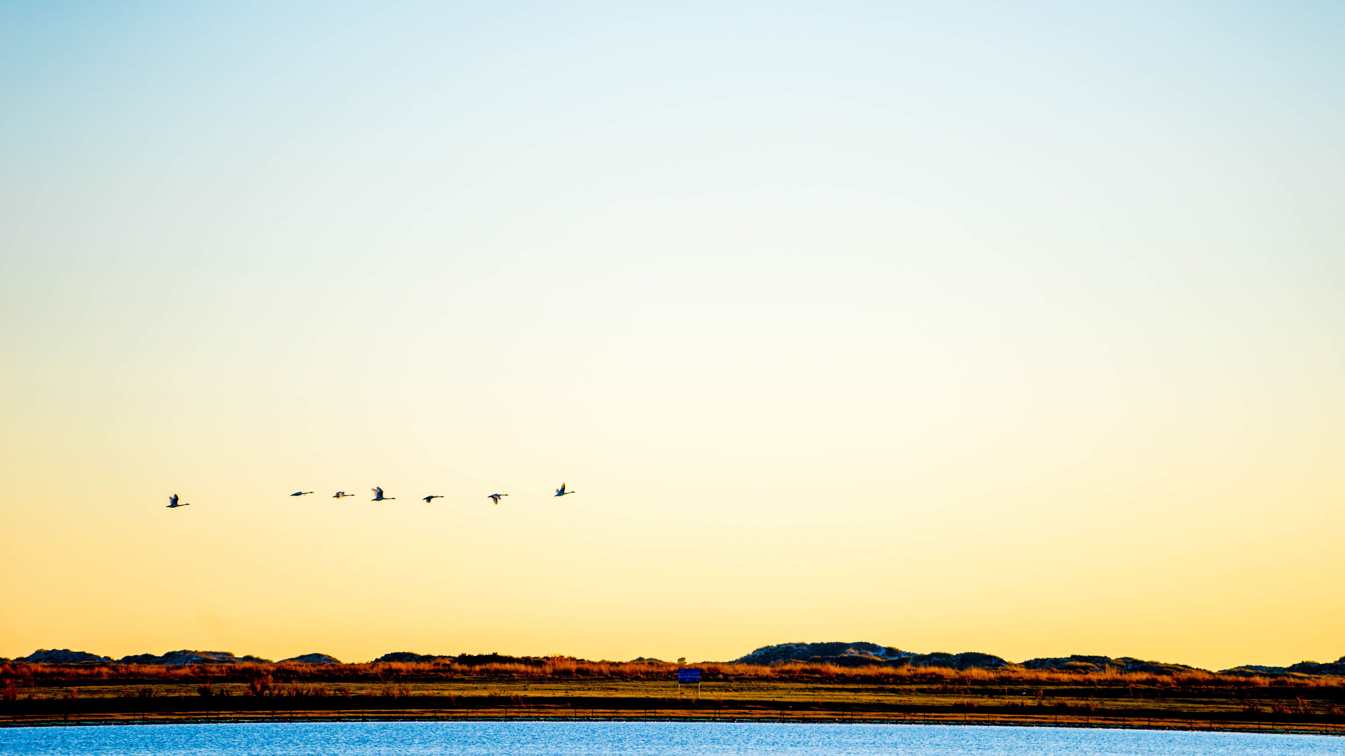 正蓝旗锡林郭勒大草原,正镶白旗天鹅湖