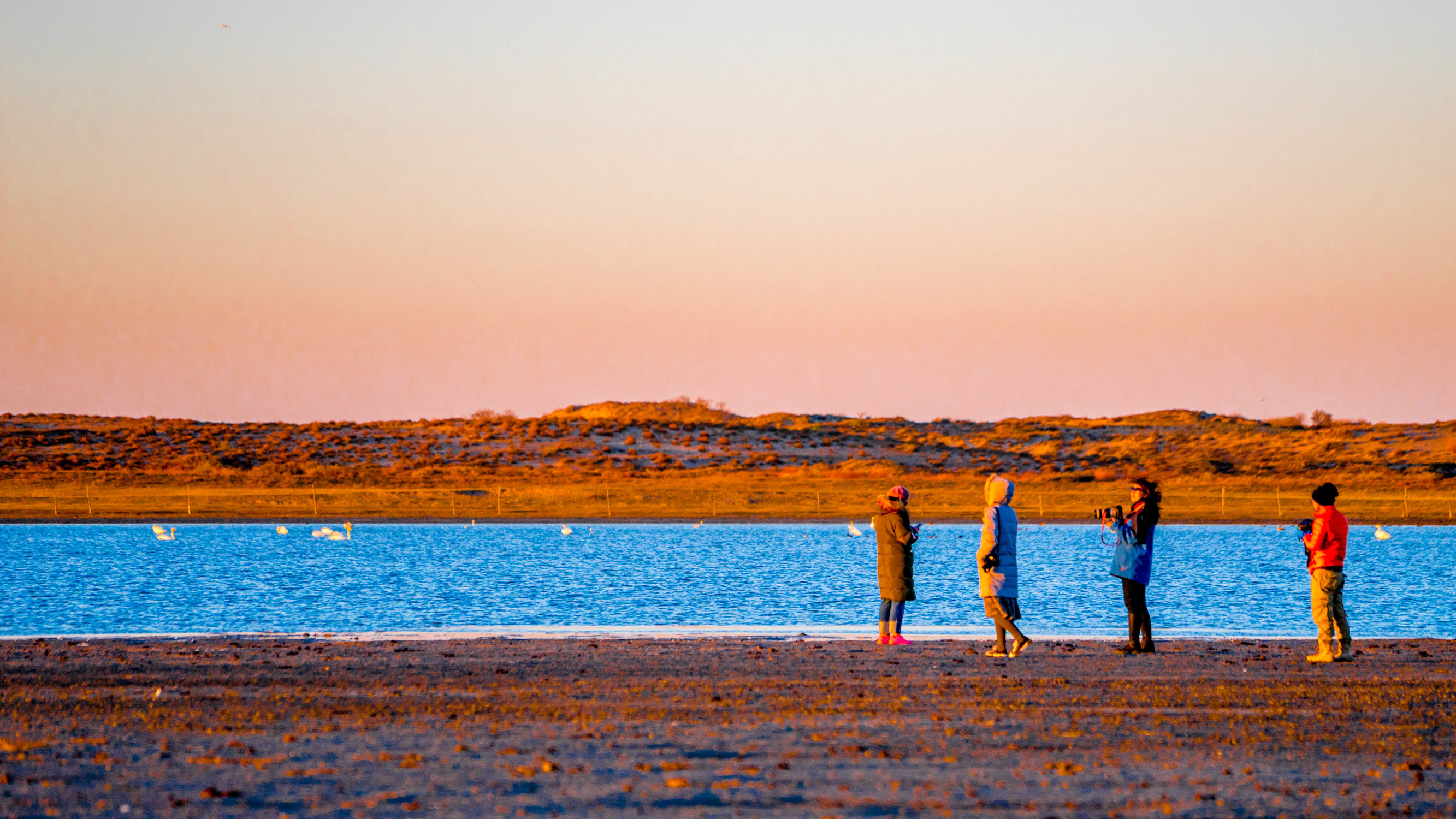 正蓝旗锡林郭勒大草原,正镶白旗天鹅湖