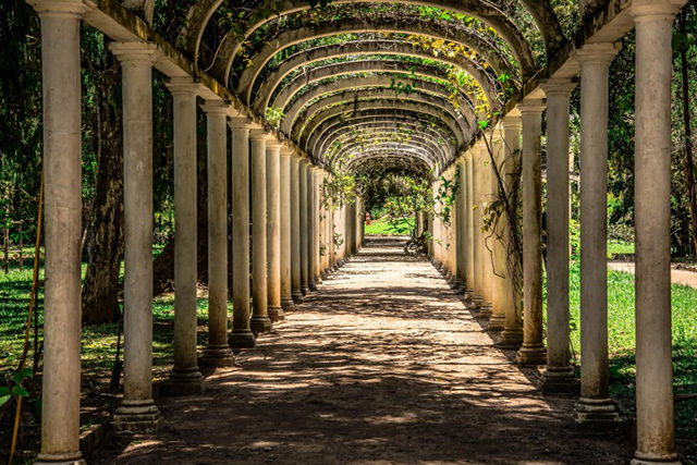 巴西街头的足球王国,巴西热情奔放的足球王国