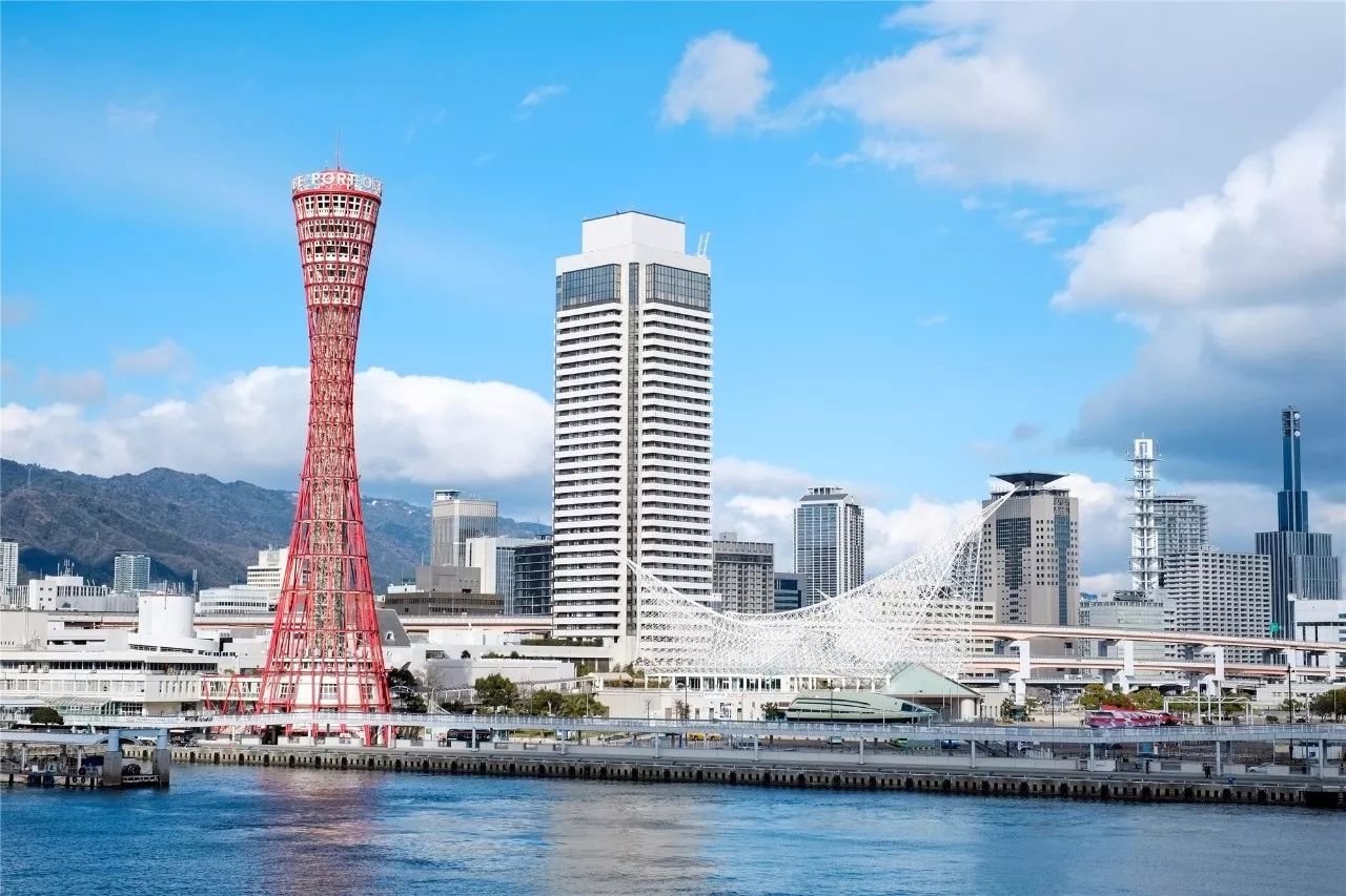 全家出游哪种旅行方式最合适,全家游怎么样游好