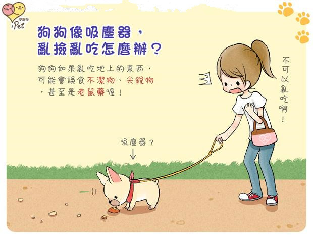 家有乖乖宠物,家有萌宠自觉训练