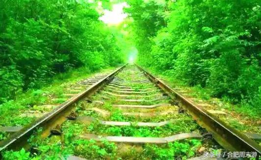 2022浜斾竴鍚堣偉鍏嶈垂鏅尯,鍚堣偉鍏嶈垂鐜╂櫙鍖哄叏鍚嶅崟